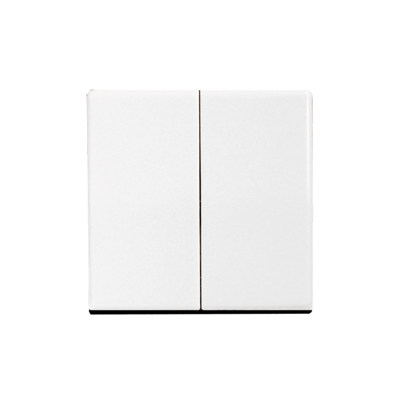 Jung dubbele drukknop AS-500