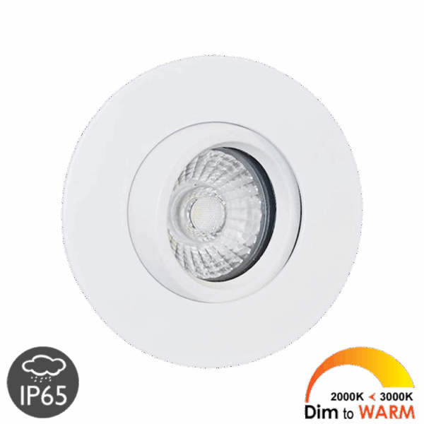 Lazio IP65 Dim-to-Warm incl. driver 230V