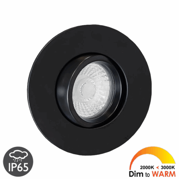 Lazio IP65 Dim-to-Warm incl. driver 230V