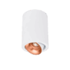 Dea Flora S