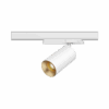 Dea Juno M