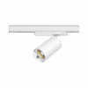 Dea Juno M