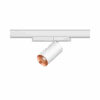 Dea Juno S
