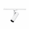 Tesoro